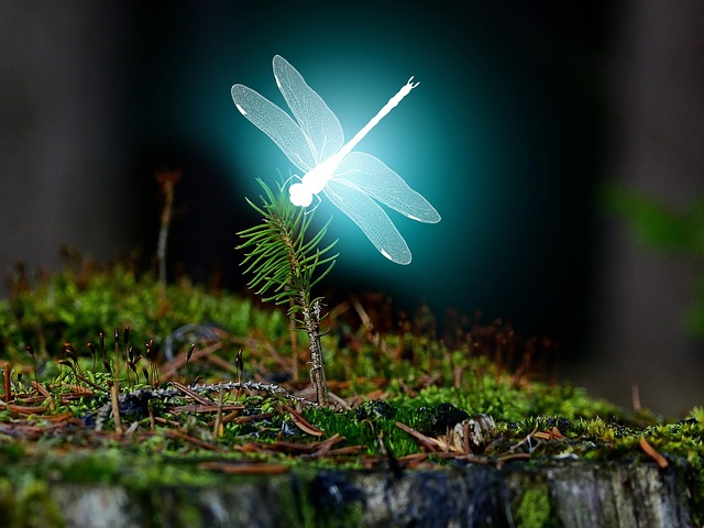 Libellula luminosa adagiata su una piantina di muschio, simbolo di trasformazione e armonia naturale.